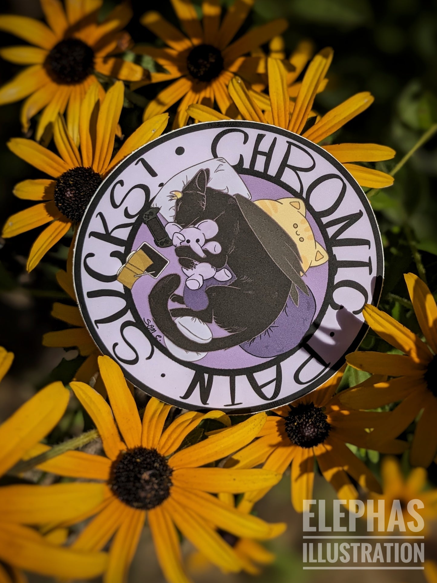 Chronic Pain Sucks - 3 in