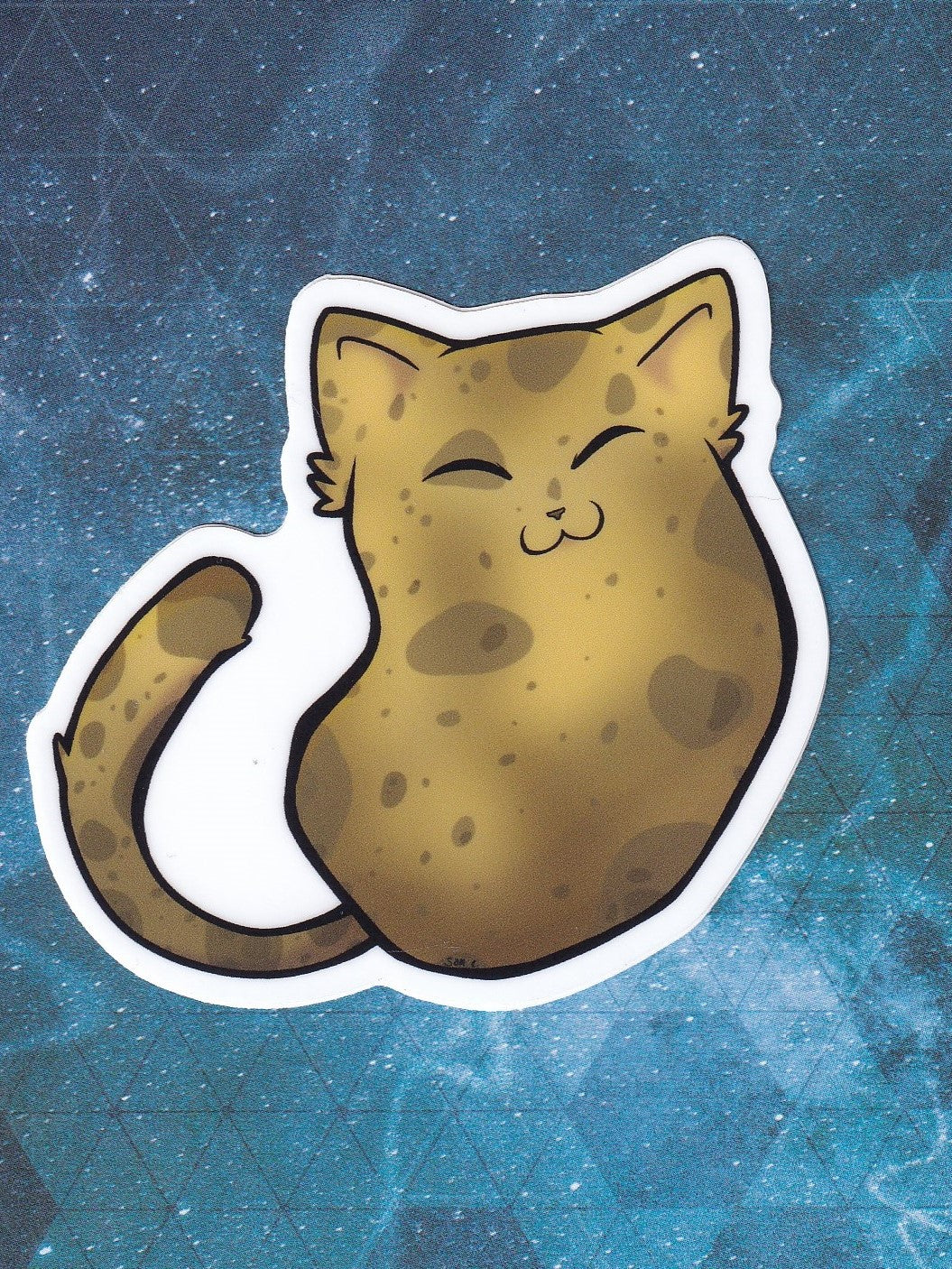 Potato cat - 3 in